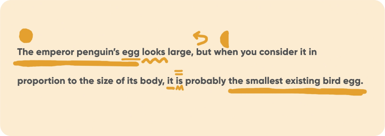 Emperor penguin egg is smallest bird egg in proportion to body size.